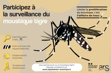Moustique tigre
